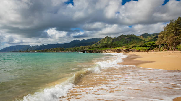 istock Waves at La'ie Beach Park (Pounders Beach), Oahu, Hawaii 1326944652