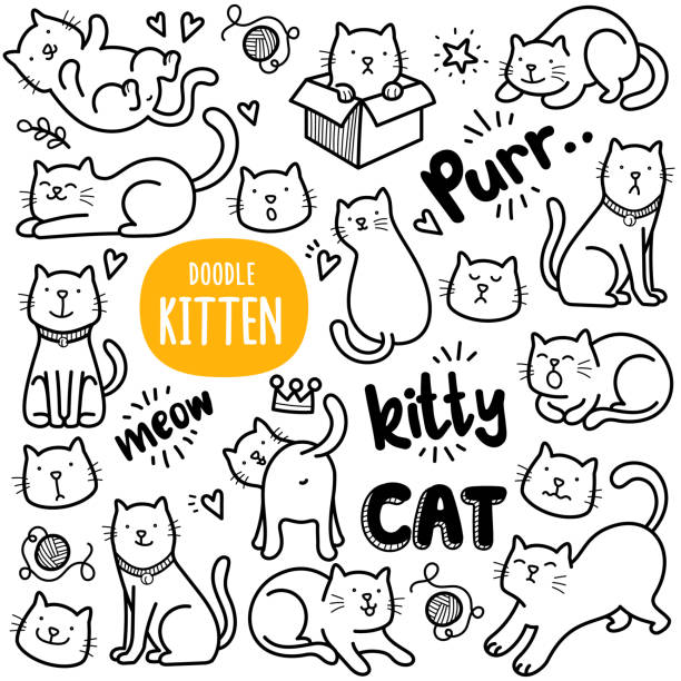 Cute Cat Doodle Illustration vector art illustration