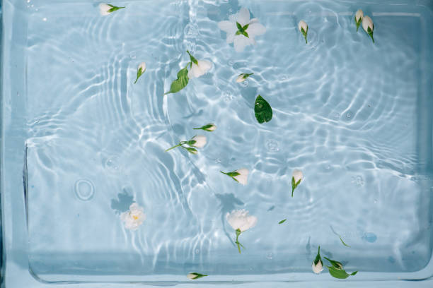 istock White flowers and buds floating on water surface in a light blue container. 1326946423