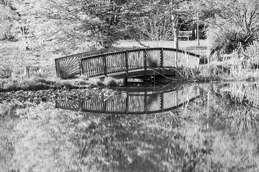 A small bridge and its reflection against a body of water.