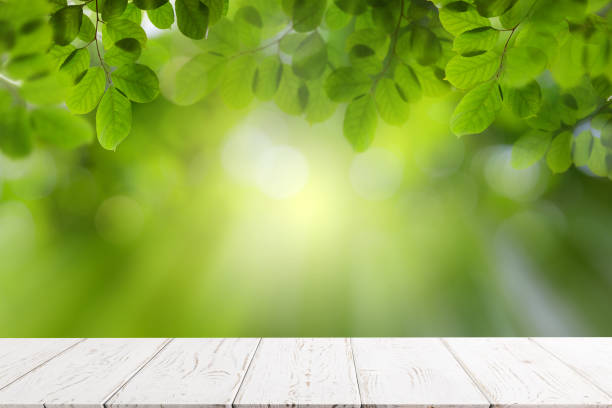 istock Empty white wooden table with green leaves, bokeh and sun light with copy space for text ,Template mock up for display of product. green nature and ecology concept. 1326950006