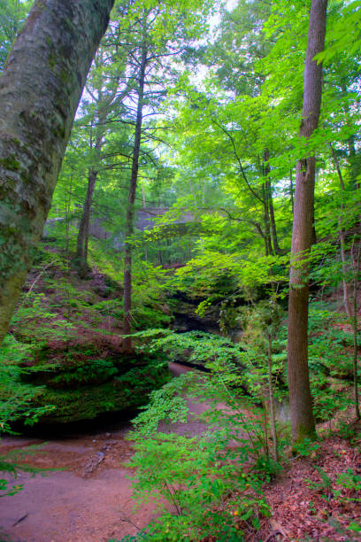 istock Canyon with stone bridge-Turkey Run, Indiana 1326951975
