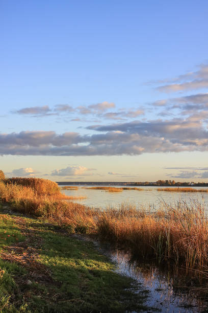 istock Park in Riga at autumn, Latvia, Europe. 1326953998