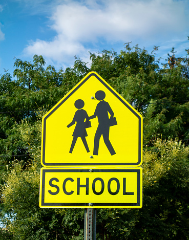 School Crossing Sign Tree Background