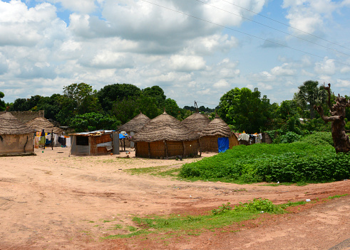 Karang, Foundiougne department, Fatick region, Senegal: Wolof village near the National Road 5 (N5), leading to the Gambian border - Senegalese vernacular architecture - straw houses with thatched roofs, built around a corrugated iron grocery store - edge of the forest.