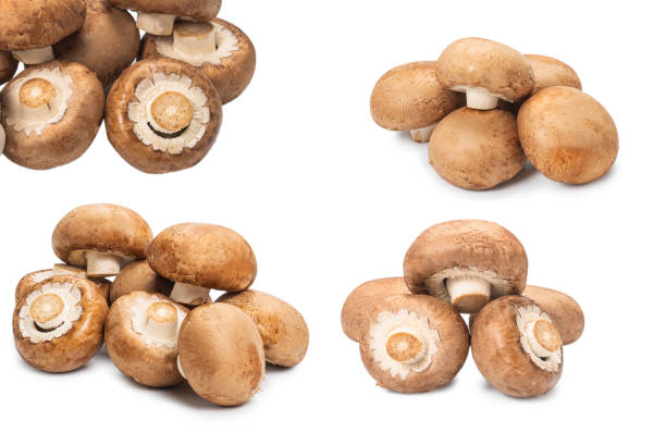 istock Tasty mushroom isolated on white background. 1326954315