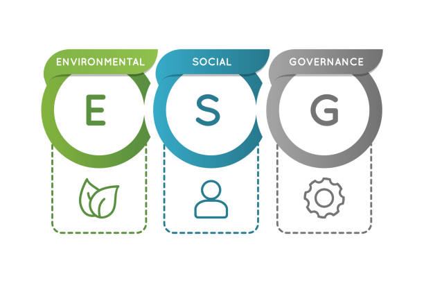 esg environmental social governance infografik. analysemodell für unternehmensinvestitionen. - esg stock-grafiken, -clipart, -cartoons und -symbole