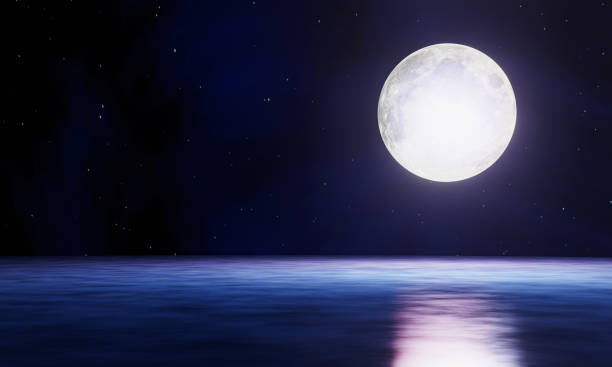 The blue full moon is reflected in the sea. A wave of water from the ocean to island. The sky has many stars. Ripples on the sea at night. 3D Rendering The blue full moon is reflected in the sea. A wave of water from the ocean to island. The sky has many stars. Ripples on the sea at night. 3D Rendering fantasy moonlight beach stock pictures, royalty-free photos & images