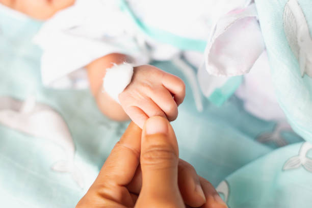 pequeña y delicada mano pequeña de recién nacido - retrato cercano - premature fotografías e imágenes de stock