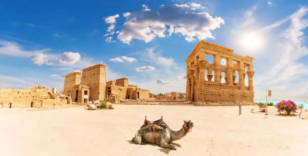 Photo of Philae Temple, Trajan's Kiosk and a camel, beautiful panorama, Aswan, Egypt