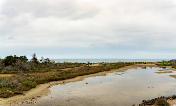 istock Maremma TOscana, Italy the park 1326964057
