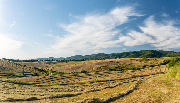 istock The magic landscape of maremma 1326966953