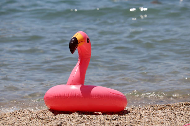 надувной круг в форме розового фламинго на песчаном пляже - inner tube swimming lake water стоковые фото и изображения