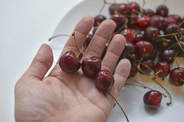 istock Red and ripe cherries in your hand 1326970704