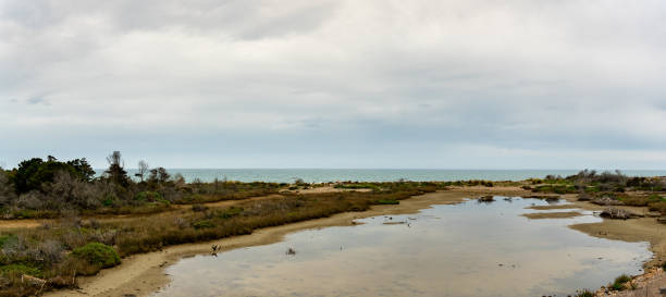 istock Maremma TOscana, Italy the park 1326970725