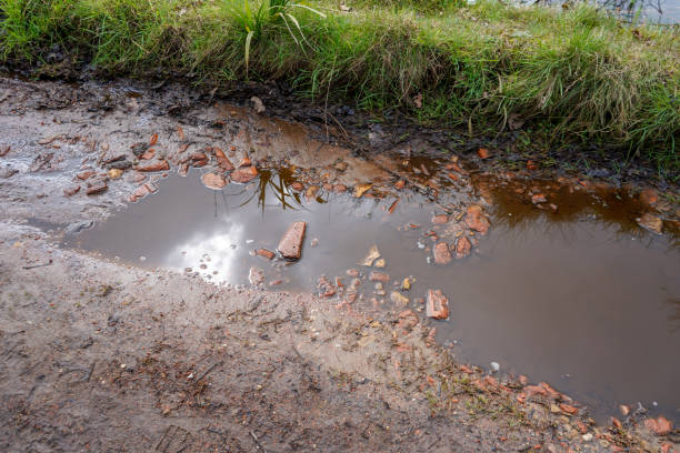 istock Close up of muddy waterlogged ground 1326973592