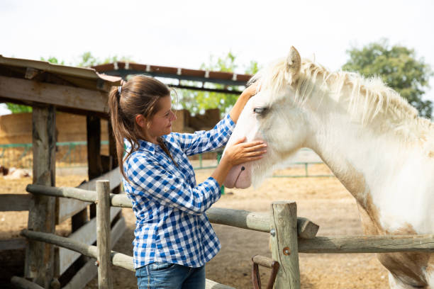 istock Smiling woman talking to horse 1326975359