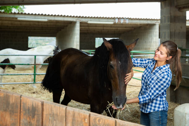 istock Female farmer feeding horse 1326975360