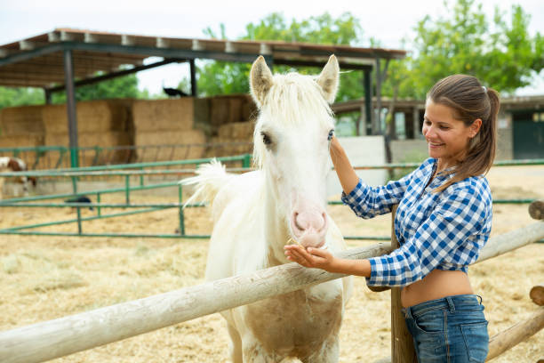 istock Smiling woman talking to horse 1326975365