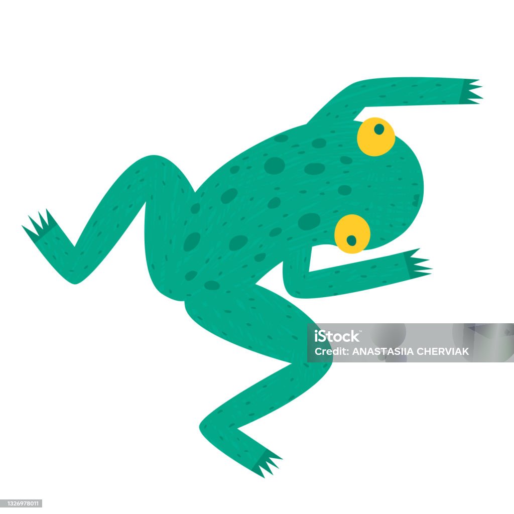 Cute cartoon jumping frog vector illustration Cute cartoon jumping frog vector illustration. Top view pond reptile with dots, flat toad character, funny childish green amphibian. Hand drawn swamp animal isolated on white background. T Shirt print Animal stock vector