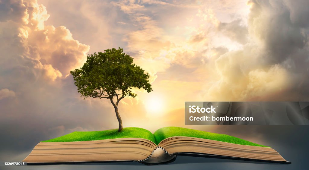 lonely big tree growing up on ancient books like a painting in literature The story in the magic book Storytelling Stock Photo