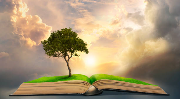 lonely big tree growing up on ancient books like a painting in literature The story in the magic book holy book stock pictures, royalty-free photos & images