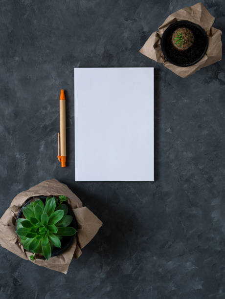 istock White blank notebook mockup dark background flat lay. Minimal work space sketchbook, paper pen, green plant top view. 1326979233