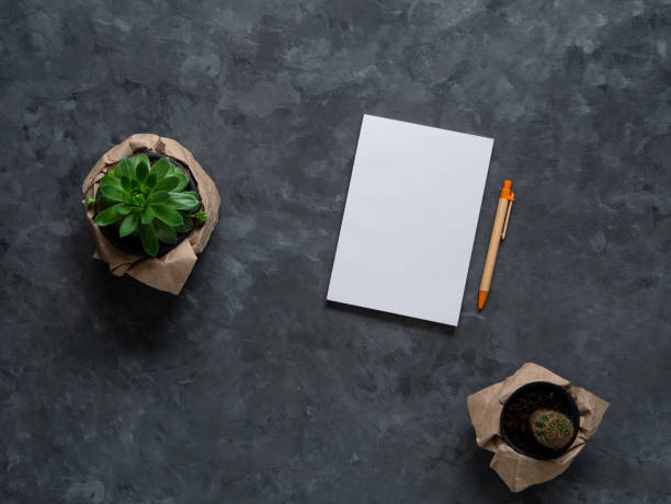 istock White blank notebook mockup dark background flat lay. Minimal work space sketchbook, paper pen, green plant top view. 1326979237
