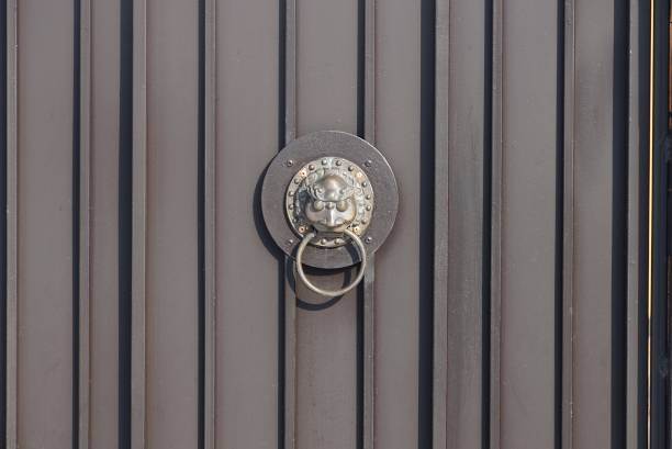 one brown bronze door handle with a lion head on a metal door in the street