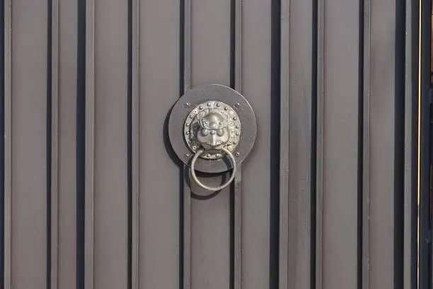 Photo of one brown bronze door handle with a lion head