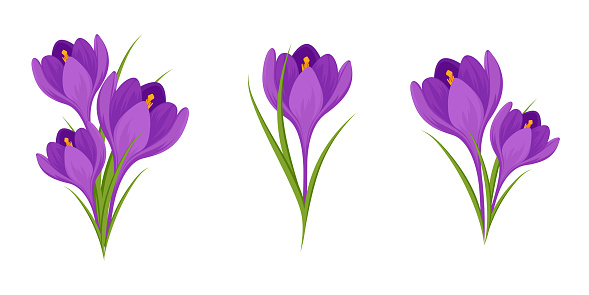 Free download of snowdrop flower tattoo vector graphics and illustrations,  page 32