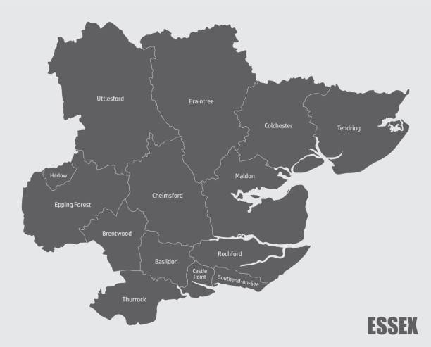 mapa administracyjna hrabstwa essex - essex stock illustrations