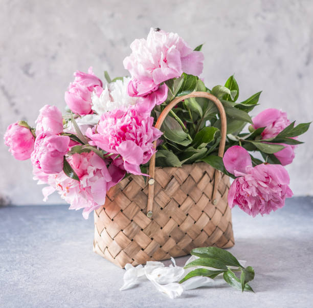 istock Beautiful peonies in wicker basket on wooden table 1326984291
