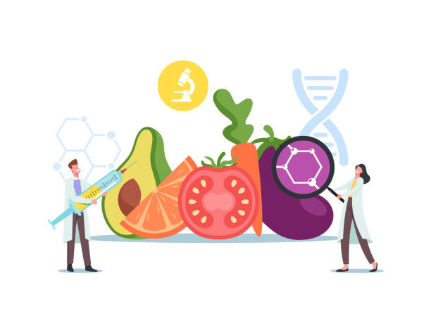 illustrations, cliparts, dessins animés et icônes de de minuscules scientifiques personnages masculins et féminins à d’énormes cultures alimentaires et agricoles génétiquement modifiées apprentissage des aliments ogm - food crop sprayer insecticide dna