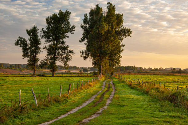istock A beautiful countryside landscape at sunrise 1326990305
