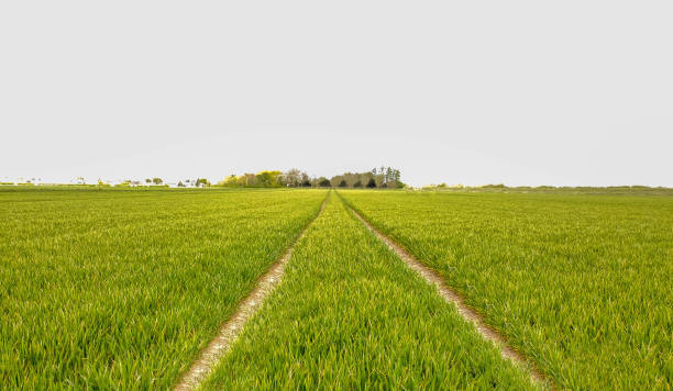 istock Lincolnshire Countryside Aerial View 1326990317