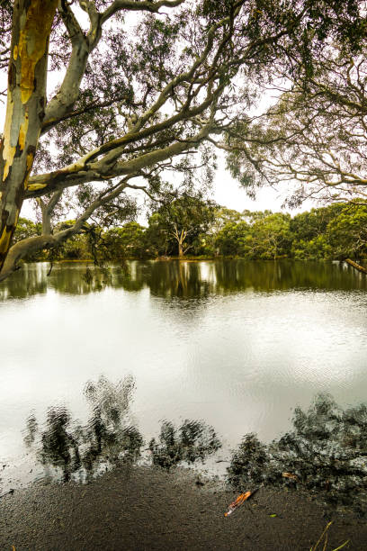 istock Rokewood, Victoria, Australia 1326993606