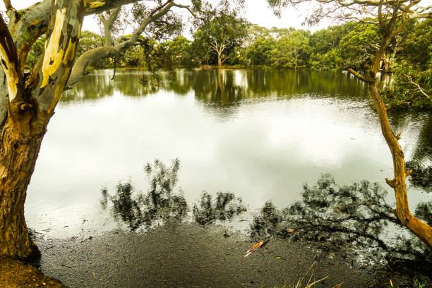istock Rokewood, Victoria, Australia 1326993616