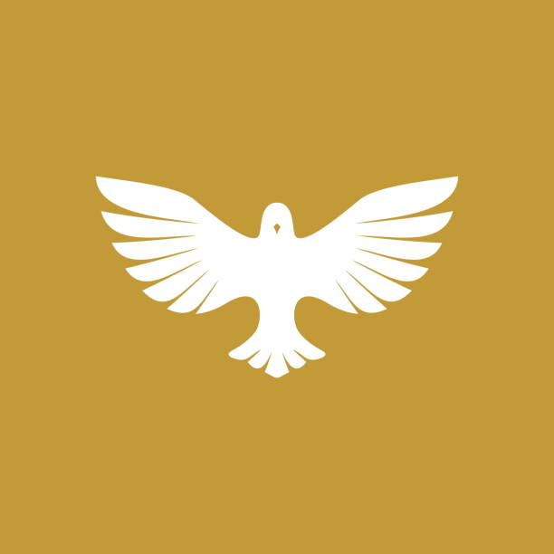gołąb, symbol pokoju i czystości. biblijny symbol ducha świętego. - historyczny światowy wypadek stock illustrations