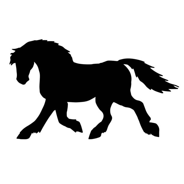 ilustraciones, imágenes clip art, dibujos animados e iconos de stock de silueta vectorial de caballo de tiro dibujada a mano - draft horse
