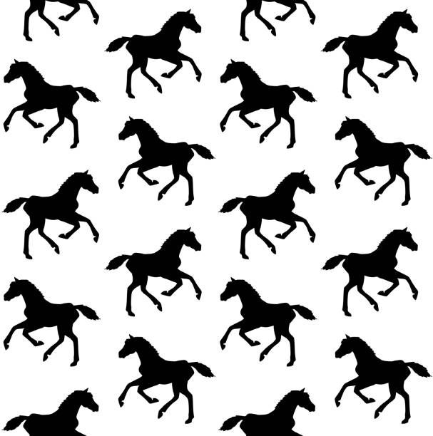 Vector seamless pattern of black hand drawn doodle sketch horse foal Vector seamless pattern of black hand drawn doodle sketch horse foal isolated on white background colts stock illustrations