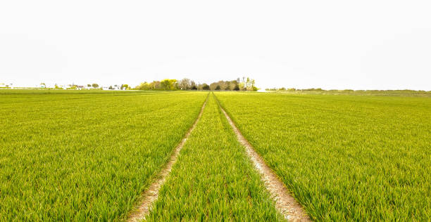 istock Lincolnshire Countryside Aerial View 1326997458