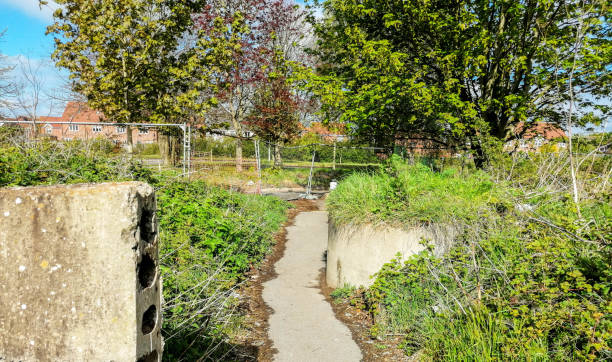 Free throughway stock photos. Download the best free throughway images ...