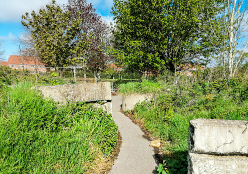 A path leading through some waste ground connecting two areas of properties.