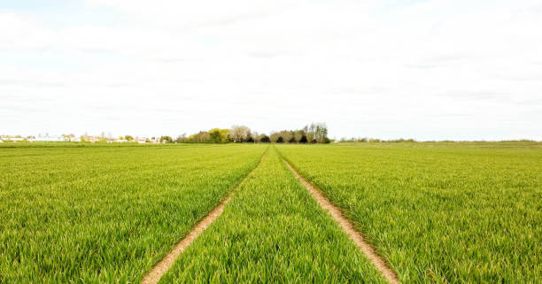 istock Lincolnshire Countryside Aerial View 1327002613