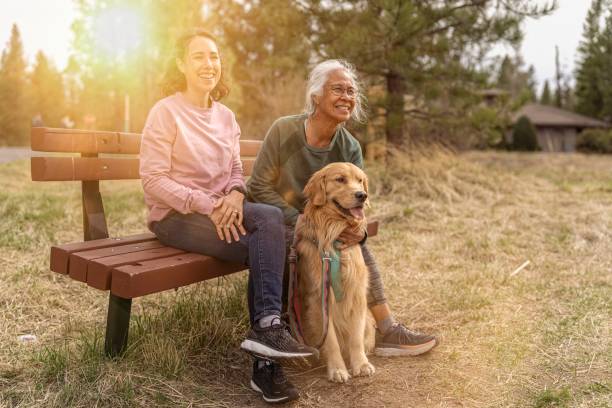 Happy pet golden retriever enjoying nature with his owners A senior adult woman of Pacific Islander descent sits on a park bench with her mixed race adult daughter. The two women and smiling and enjoying the view. They are taking a break while out on a walk through a natural parkland area with their sweet and obedient pet golden retriever. The dog is sitting patiently next to them. dog disruptagingcollection stock pictures, royalty-free photos & images