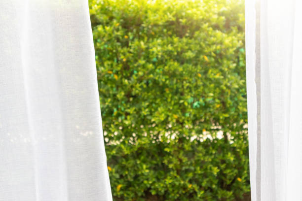 istock White curtain window with green garden background 1327007809