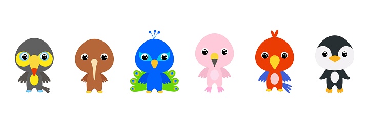 Free Kiwi Bird Playing Sport Clipart in AI, SVG, EPS or PSD