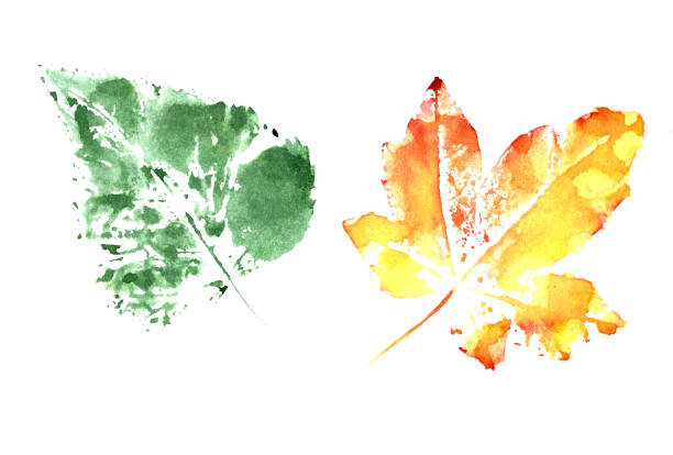 istock set of autumn watercolor leaves on a white background 1327007823