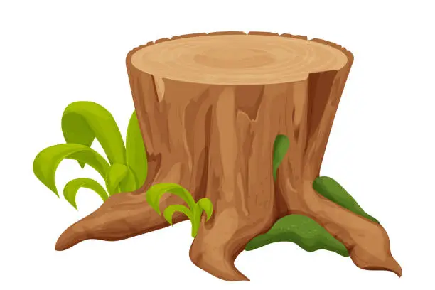 Vector illustration of Tree stump, old trunk with grass and moss in cartoon style isolated on white background. Forest decoration, ui asset, detailed and textured object. Vector illustration